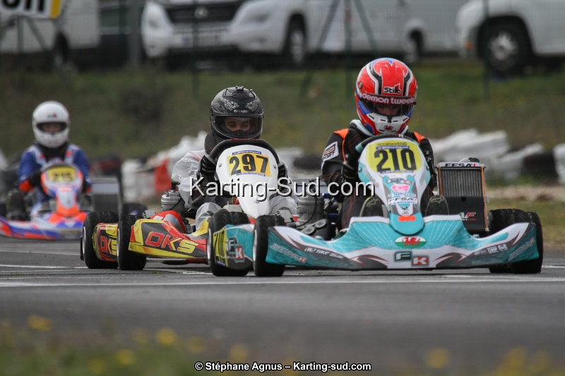 IMG_8173.jpg