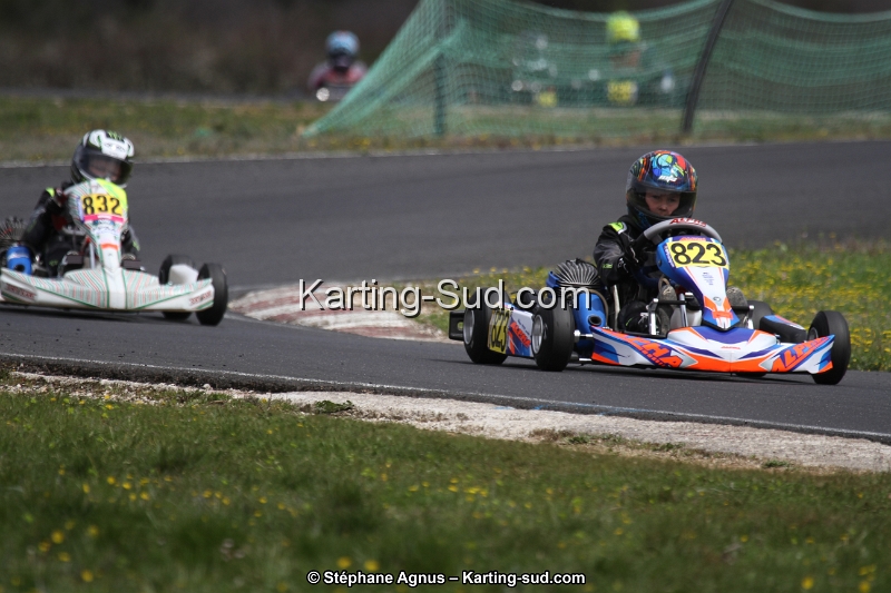 IMG_8225.jpg