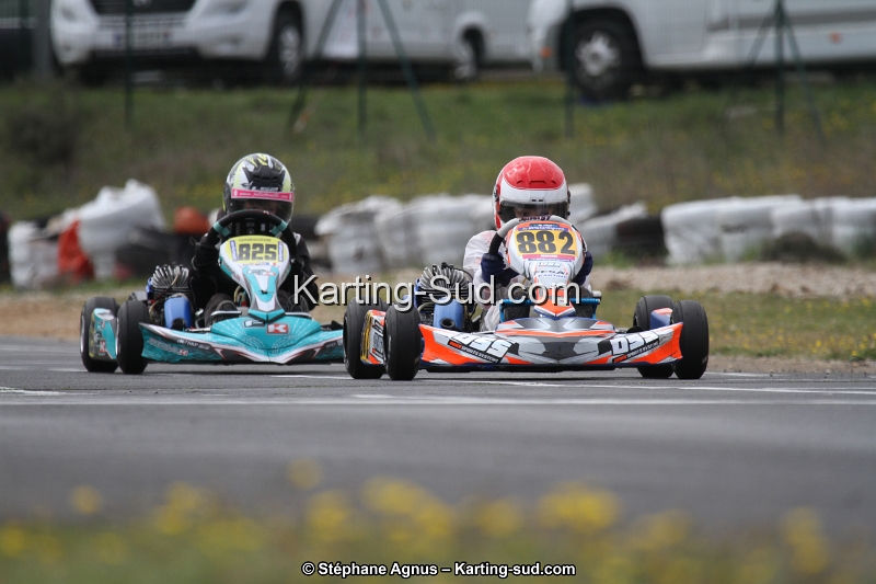 IMG_8260.jpg