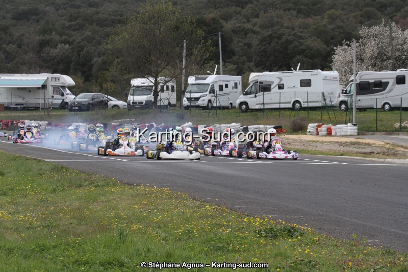IMG_8288.jpg