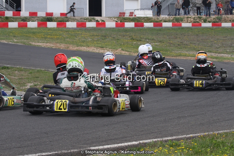IMG_8293.jpg