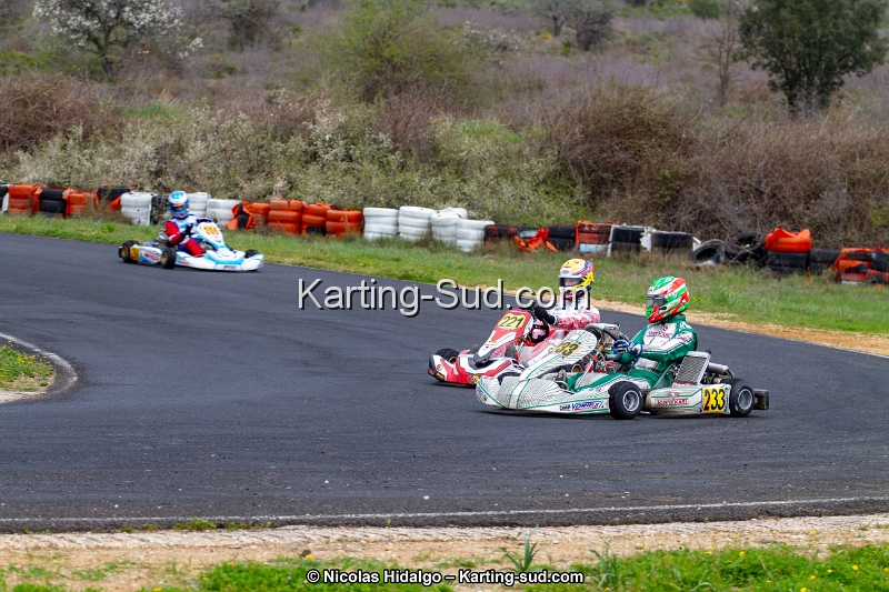IMG_8650.jpg