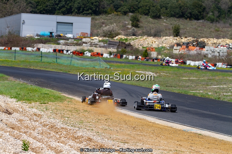 IMG_8679.jpg