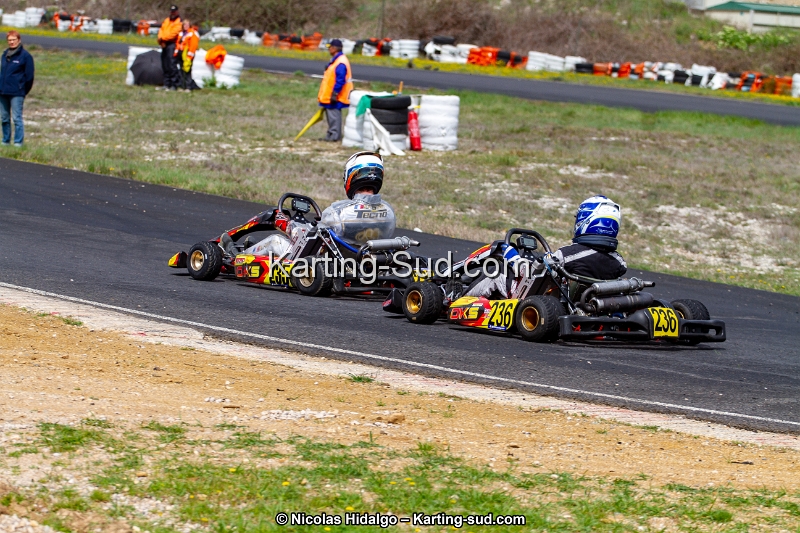 IMG_8685.jpg
