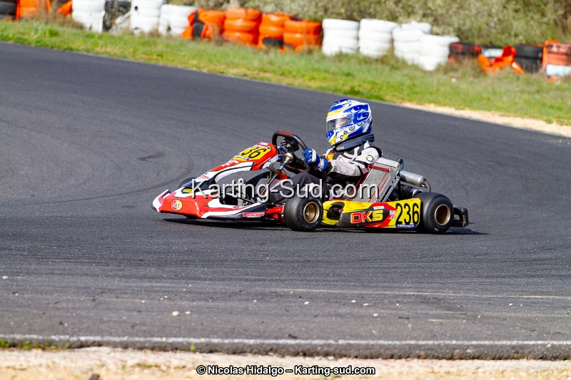 IMG_8713.jpg