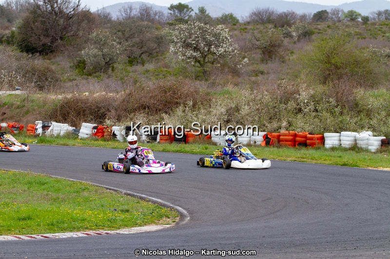IMG_8767.jpg