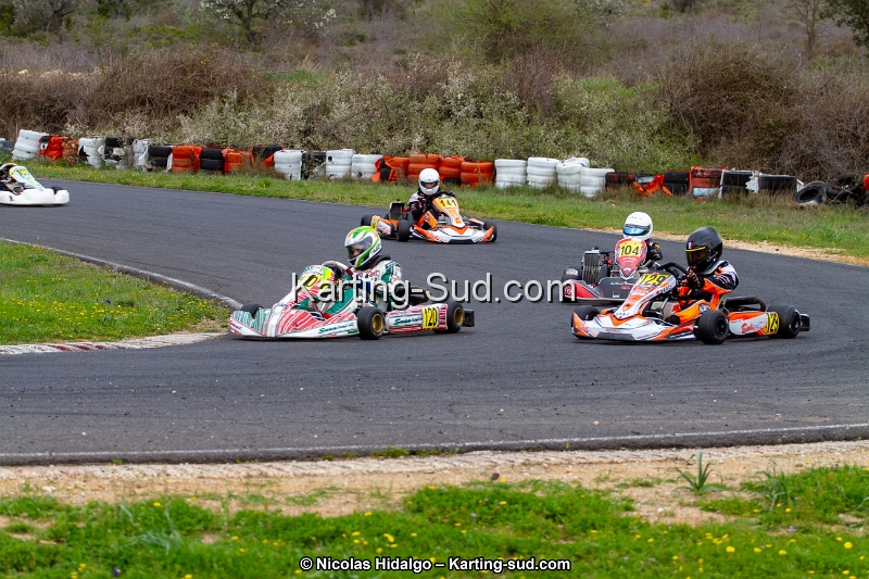IMG_8799.jpg