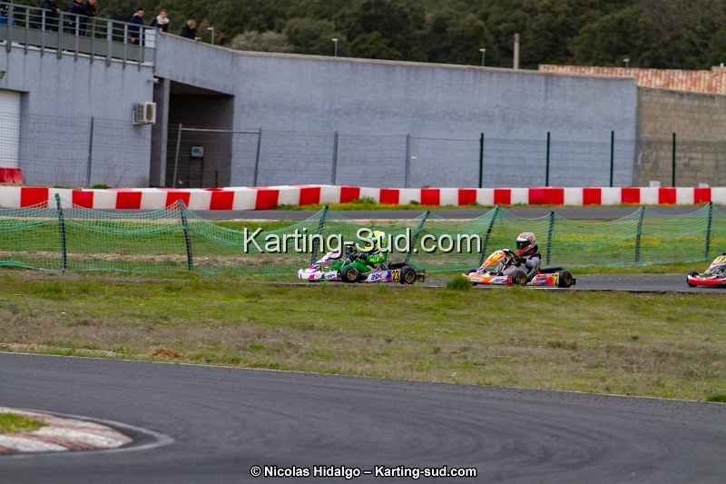 IMG_8884.jpg