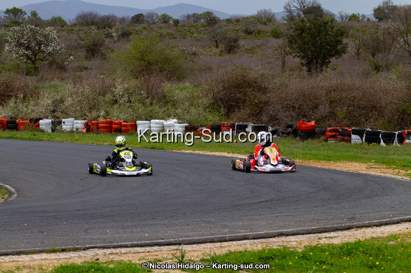 IMG_8990.jpg