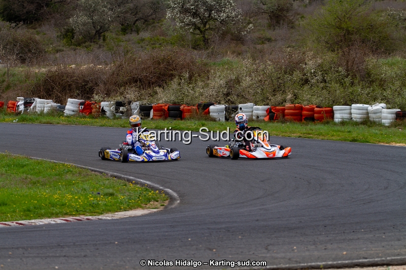IMG_9137.jpg
