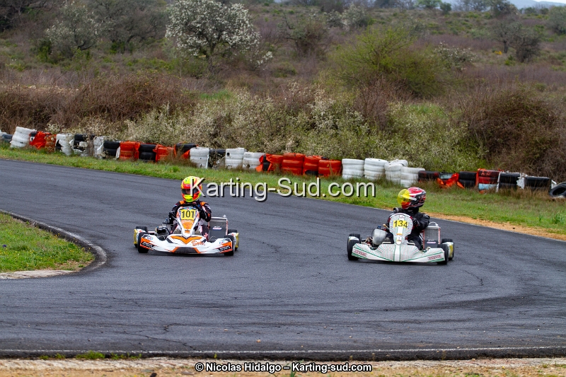 IMG_9467.jpg