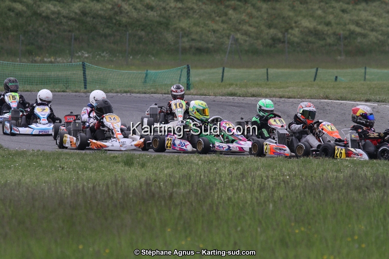 IMG_1294.jpg