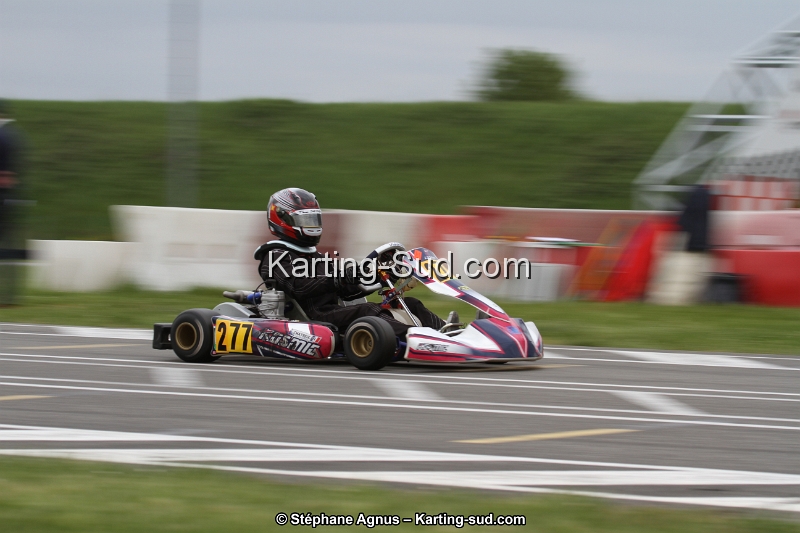 IMG_1556.jpg