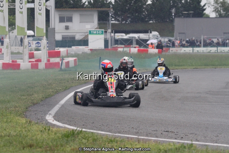 IMG_2173.jpg