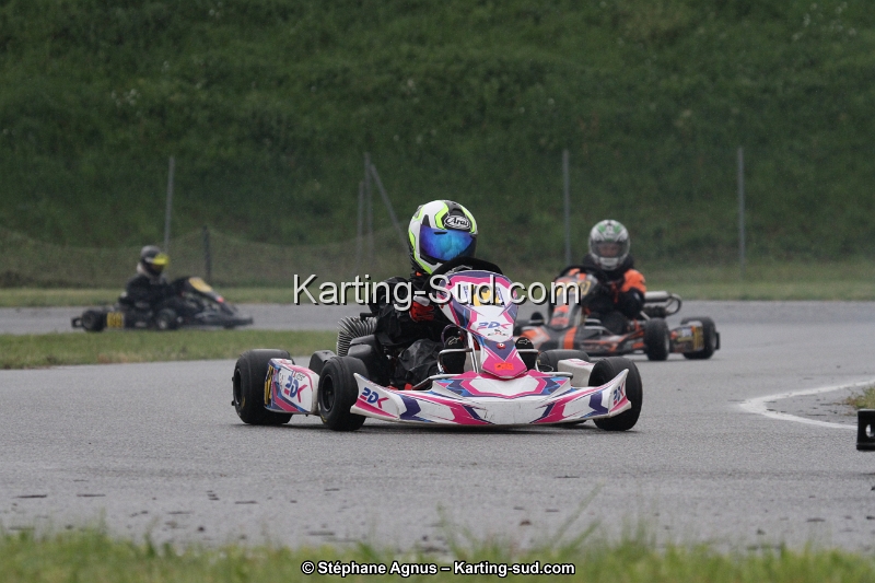 IMG_2250.jpg