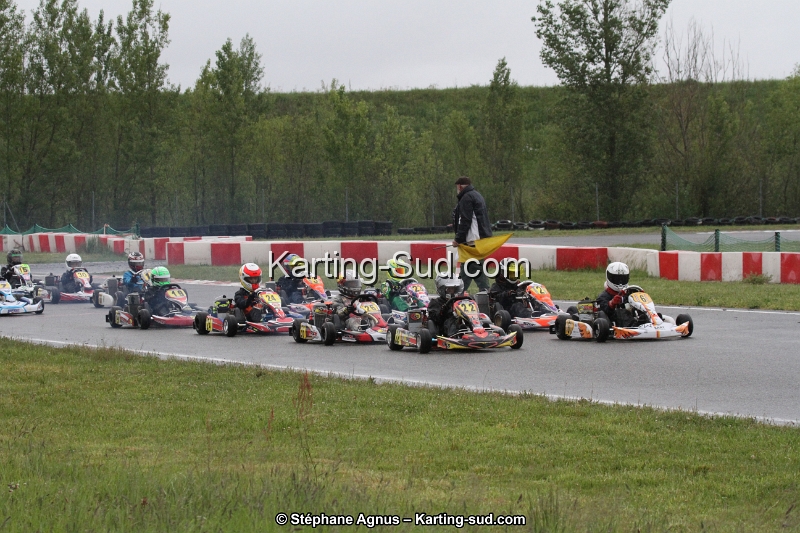 IMG_2290.jpg