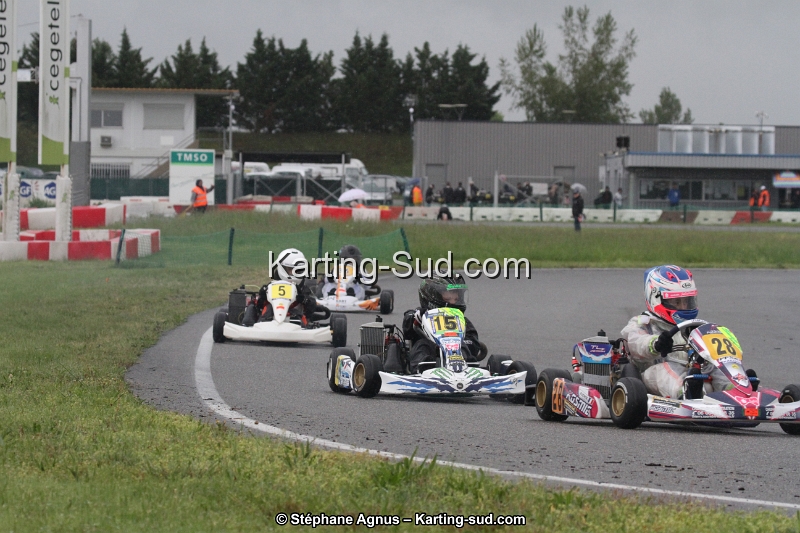 IMG_2298.jpg