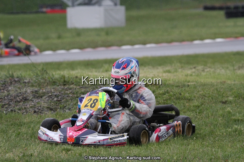 IMG_2323.jpg