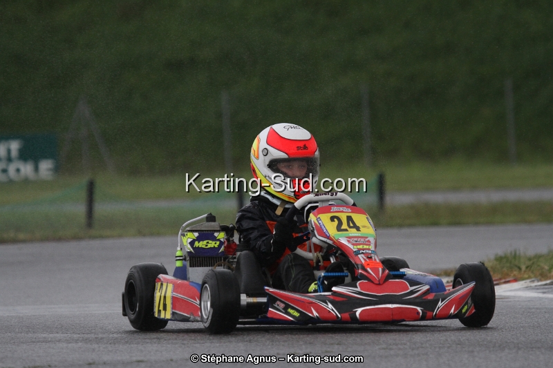 IMG_2351.jpg