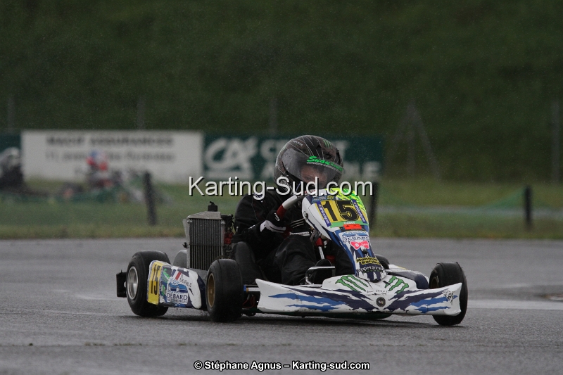 IMG_2369.jpg