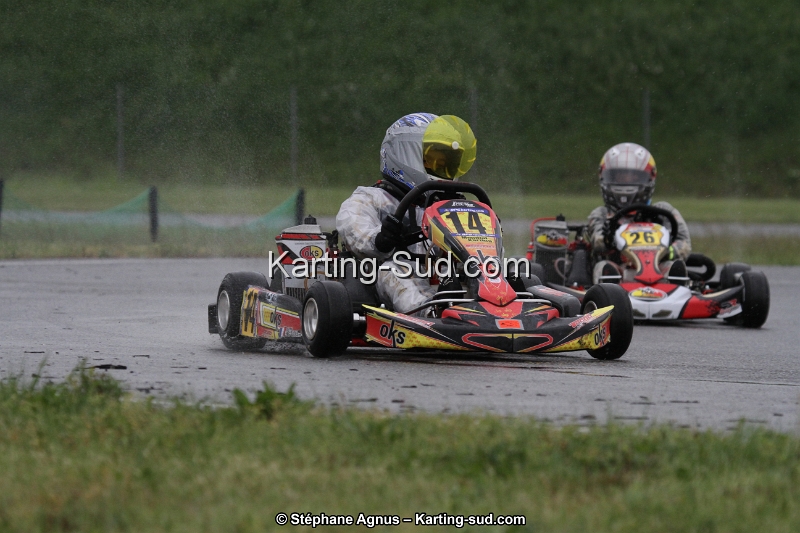 IMG_2385.jpg