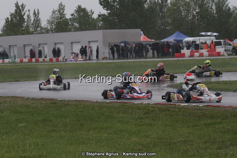 IMG_2417.jpg