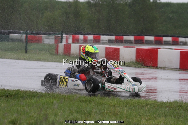IMG_2528.jpg
