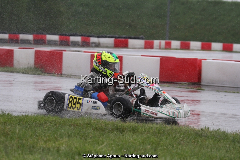 IMG_2529.jpg