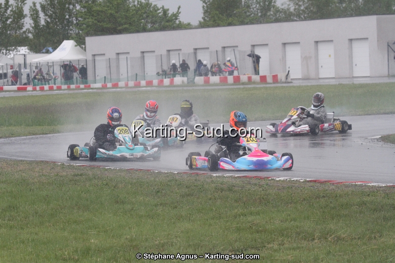 IMG_2540.jpg