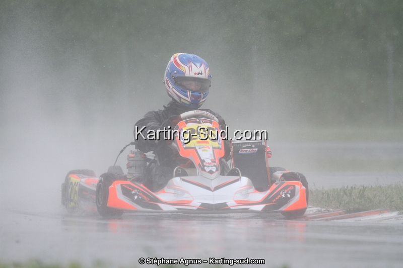 IMG_2585.jpg