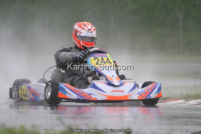 IMG_2597.jpg