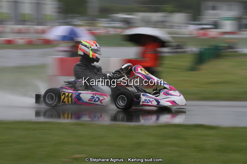 IMG_2655.jpg