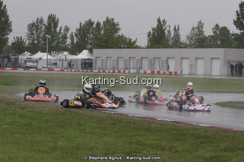 IMG_2718.jpg