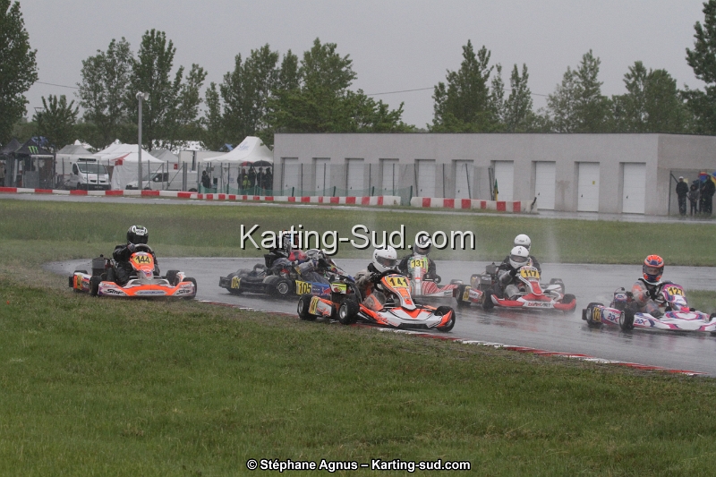 IMG_2719.jpg