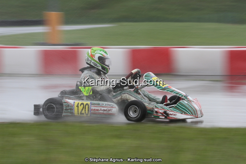 IMG_2795.jpg
