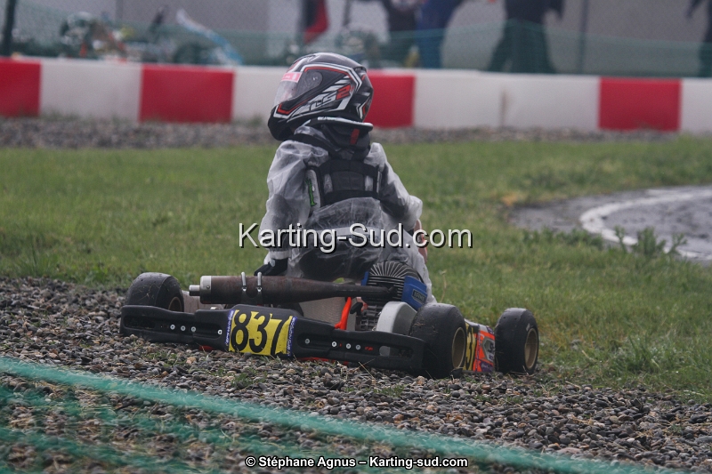 IMG_3015.jpg