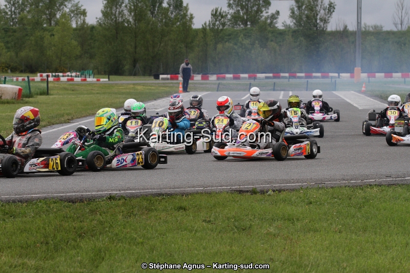 IMG_3253.jpg