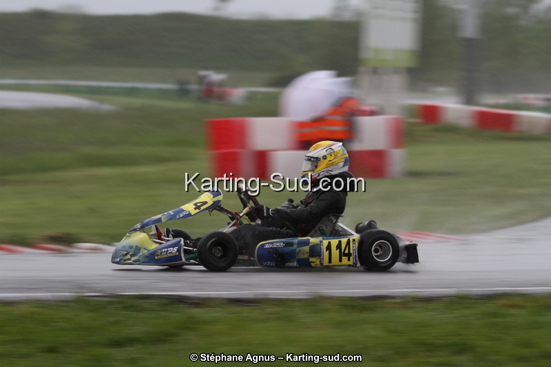 IMG_3931.jpg