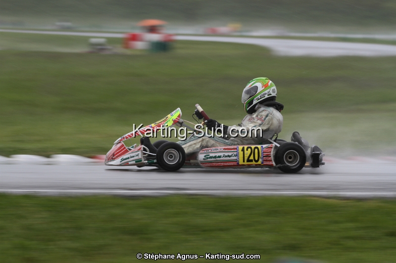 IMG_3950.jpg