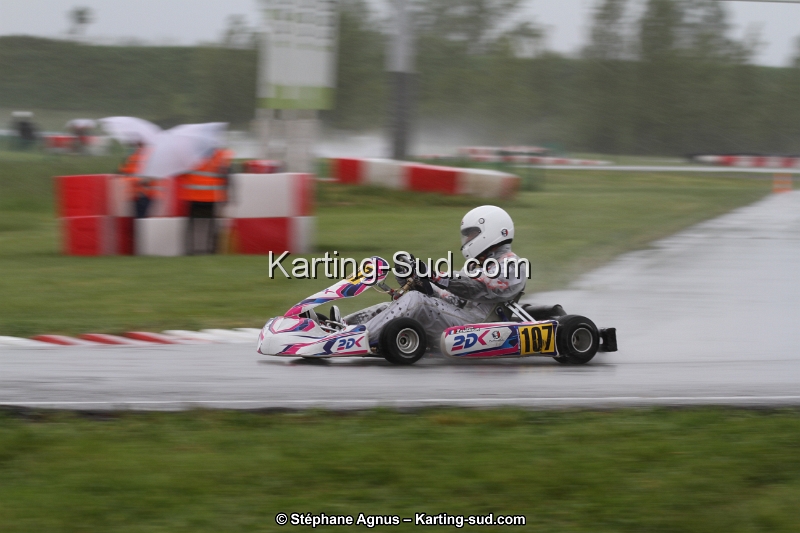 IMG_3955.jpg