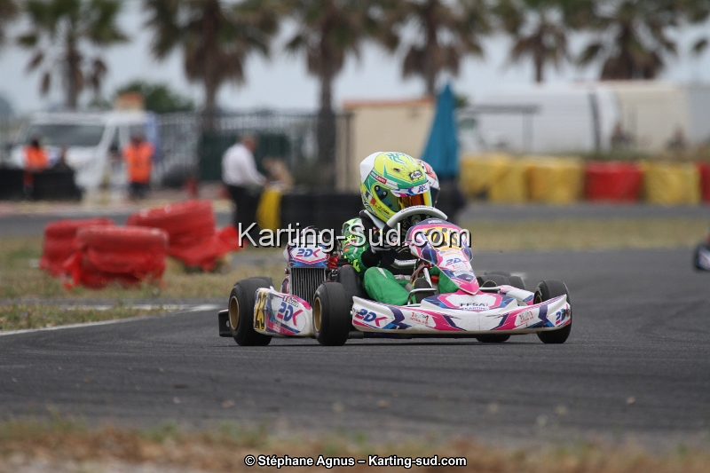 IMG_2887.jpg