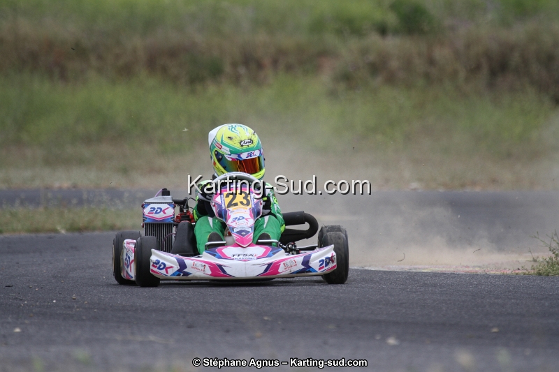 IMG_2942.jpg