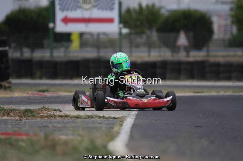 IMG_3942.jpg