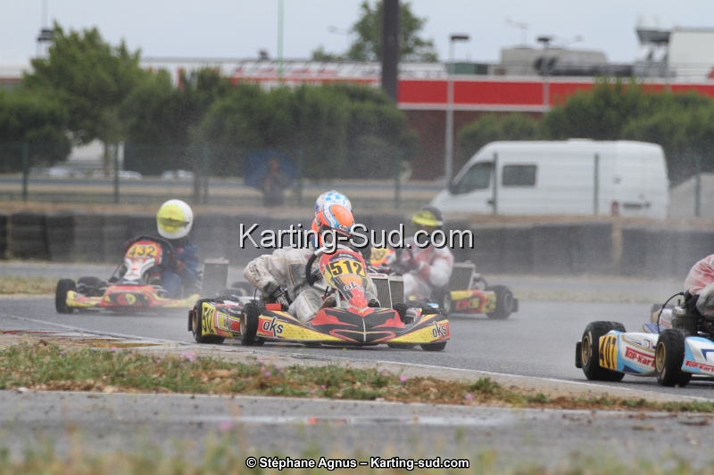 IMG_4382.jpg