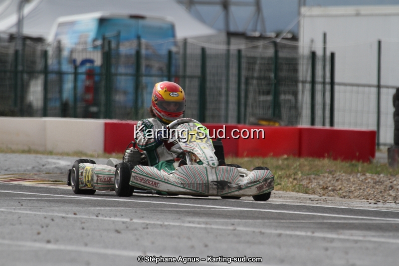IMG_4677.jpg