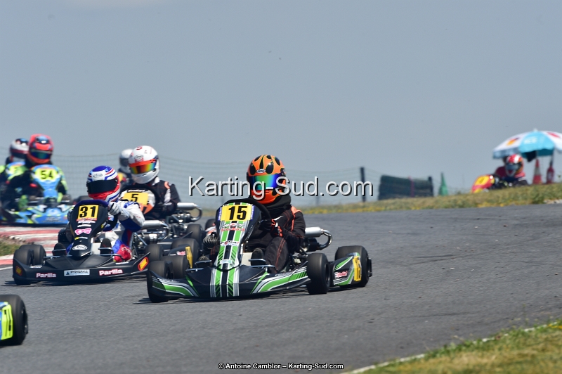 D4S_8950.jpg