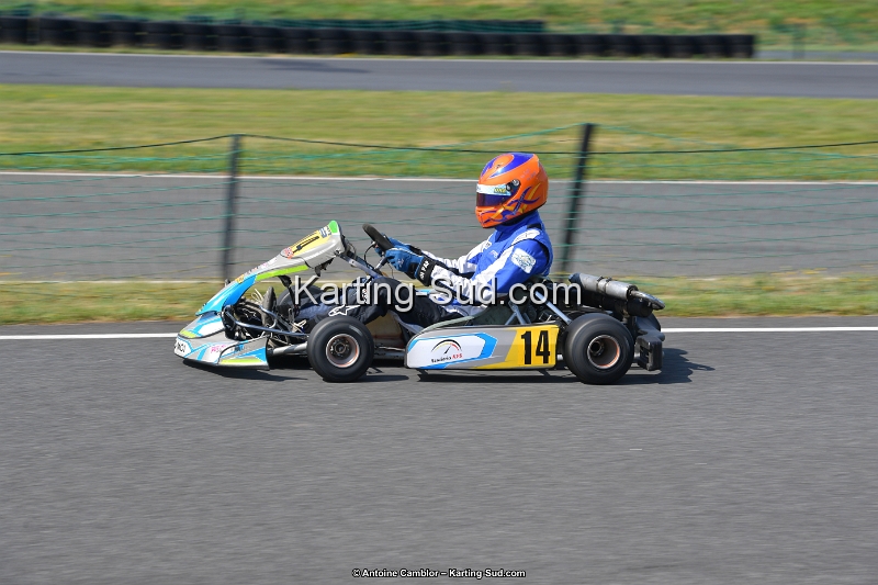 DSC_0729.jpg - CAMBLOR