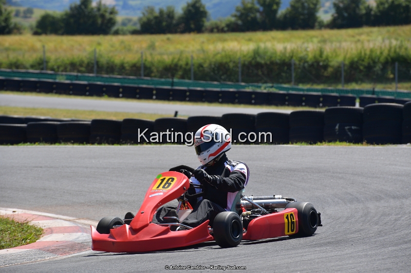 DSC_1312.jpg - CAMBLOR