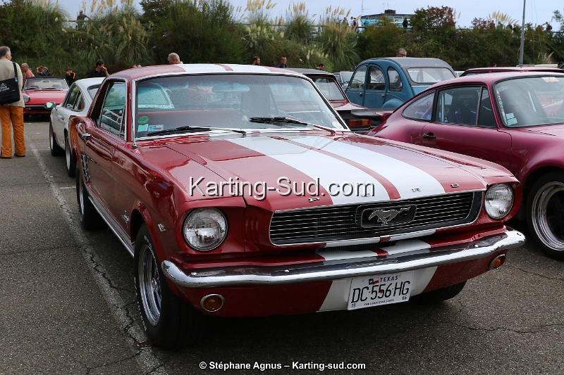 1G8A2915.jpg