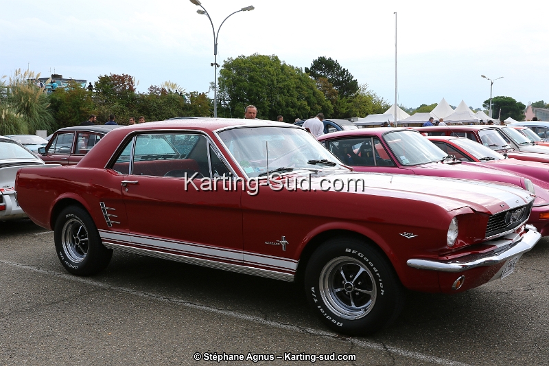 1G8A2918.jpg
